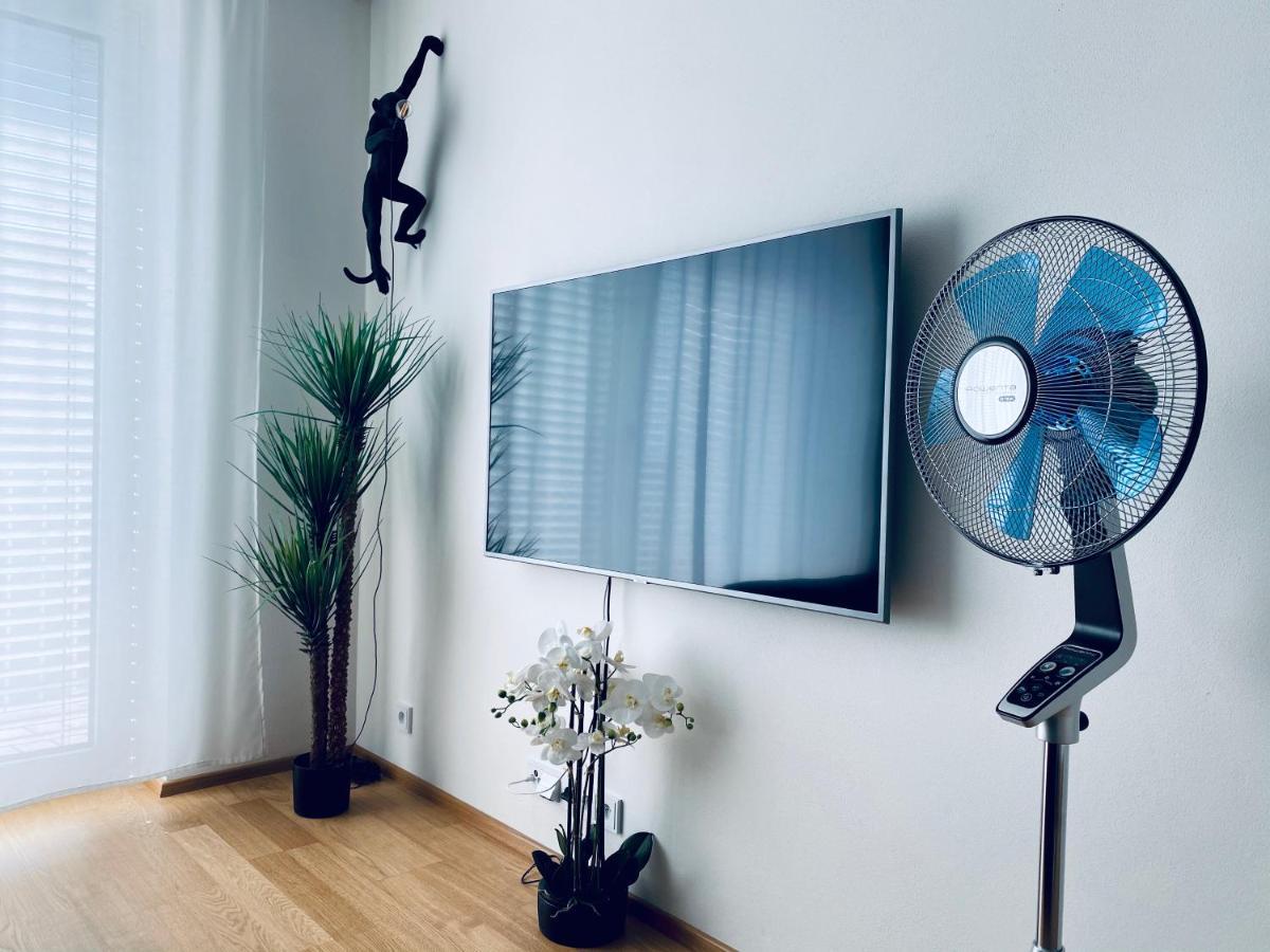 ברנו Business Apartments מראה חיצוני תמונה